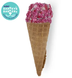 Barney's Barkery Ice Cream Cone Treat - Pink