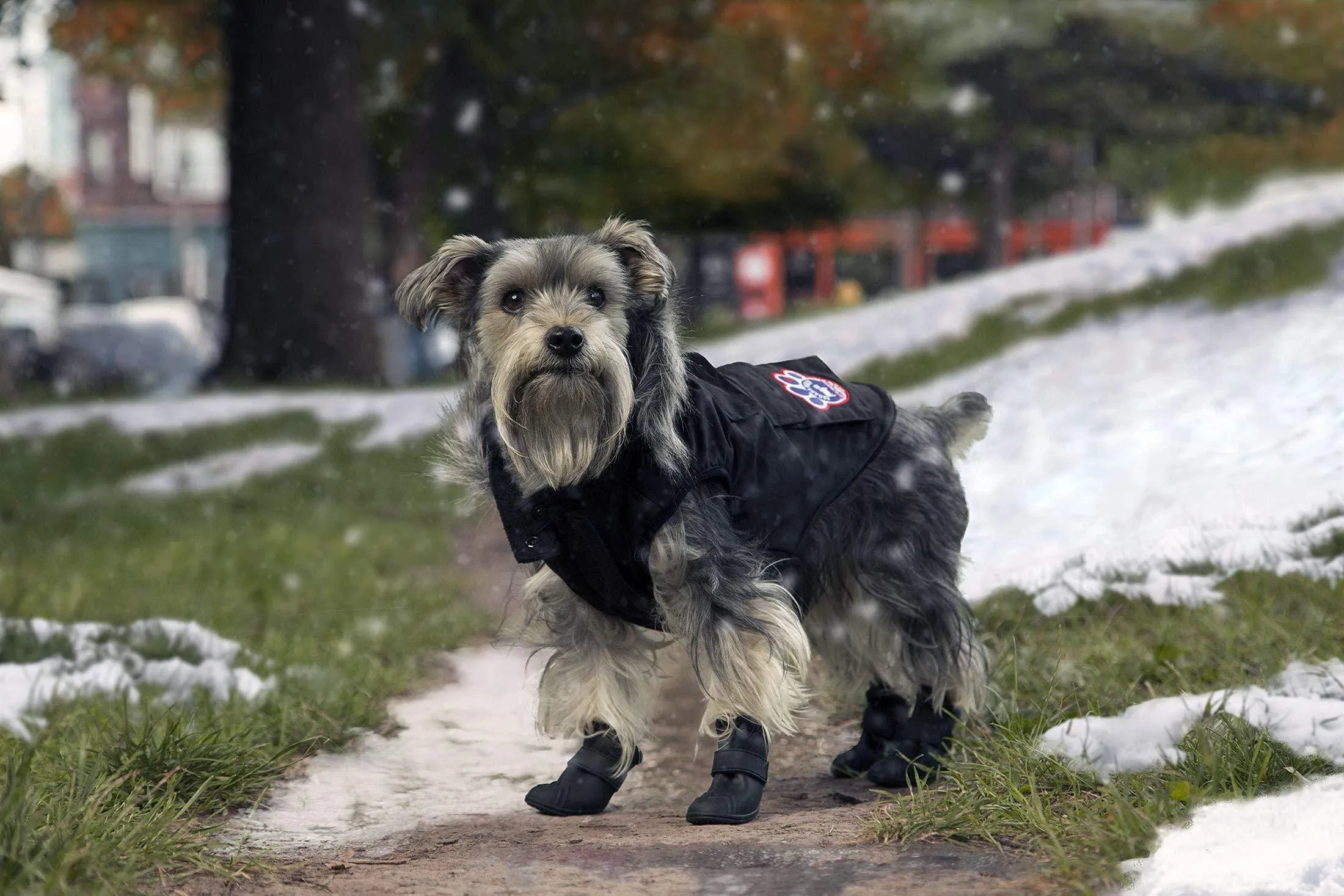 Canada Pooch Everest Explorer Size 28 Black Fleece Lined Insulated Dog Coat