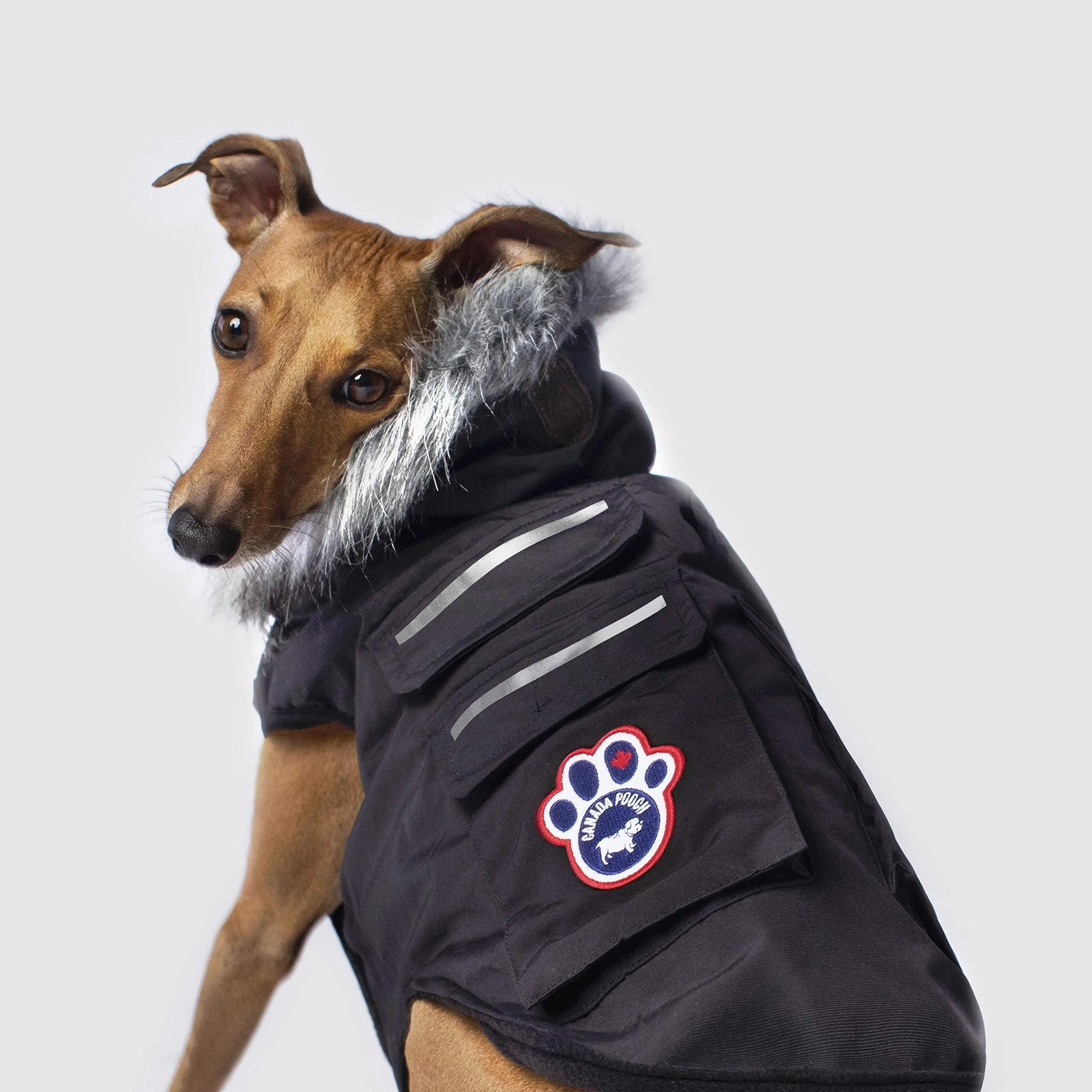 Canada Pooch Everest Explorer Size 28 Black Fleece Lined Insulated Dog Coat