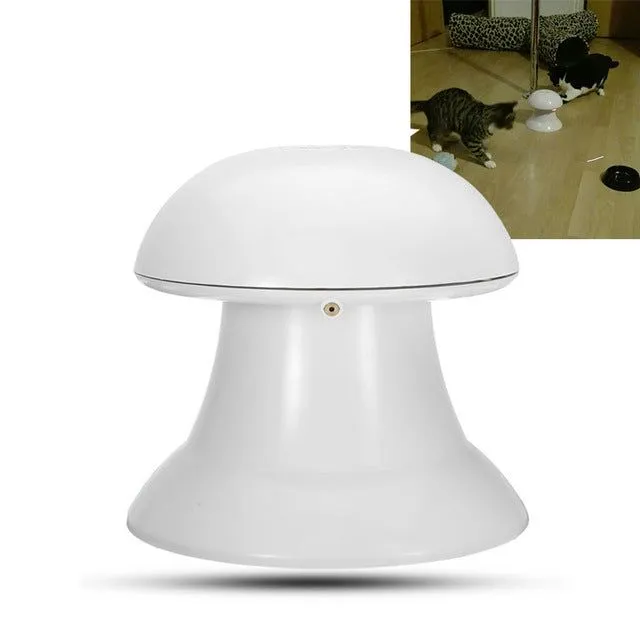 DART Automatic Laser Cat Toy