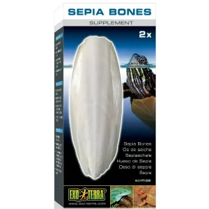 Exo Terra Sepia Bone for Turtles