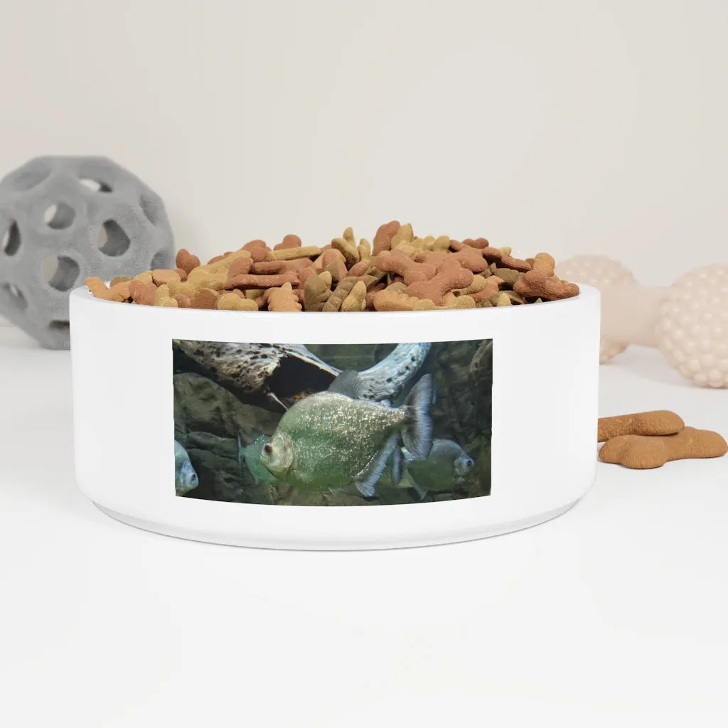 Glitter Green Fish Pet Bowl