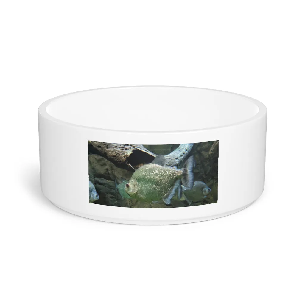 Glitter Green Fish Pet Bowl