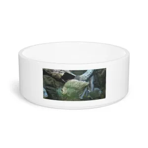 Glitter Green Fish Pet Bowl