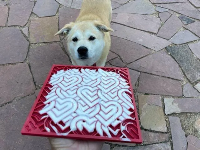 Heart Design Valentine Enrichment Lick Mat: Large