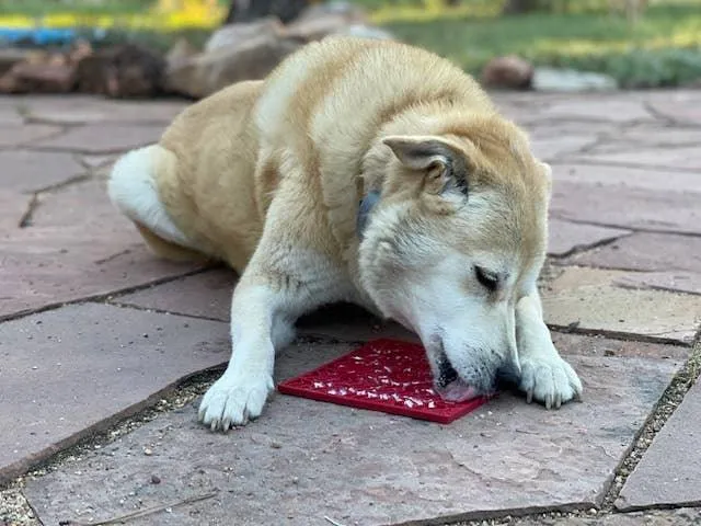 Heart Design Valentine Enrichment Lick Mat: Large