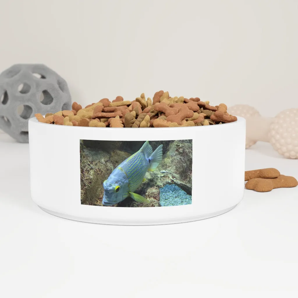 Light Blue Fish Pet Bowl