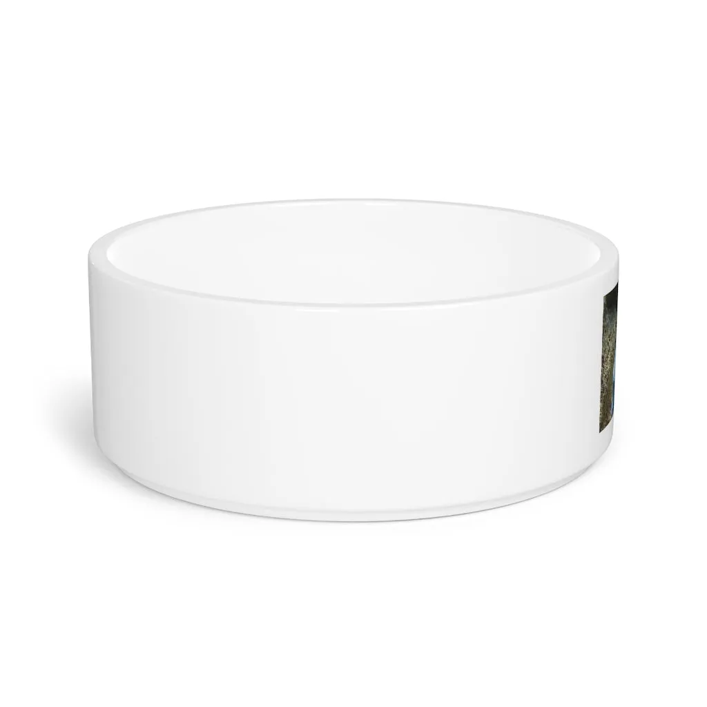 Light Blue Fish Pet Bowl