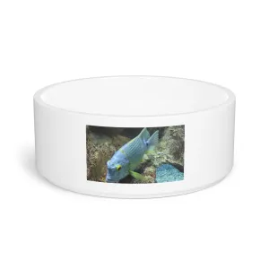 Light Blue Fish Pet Bowl