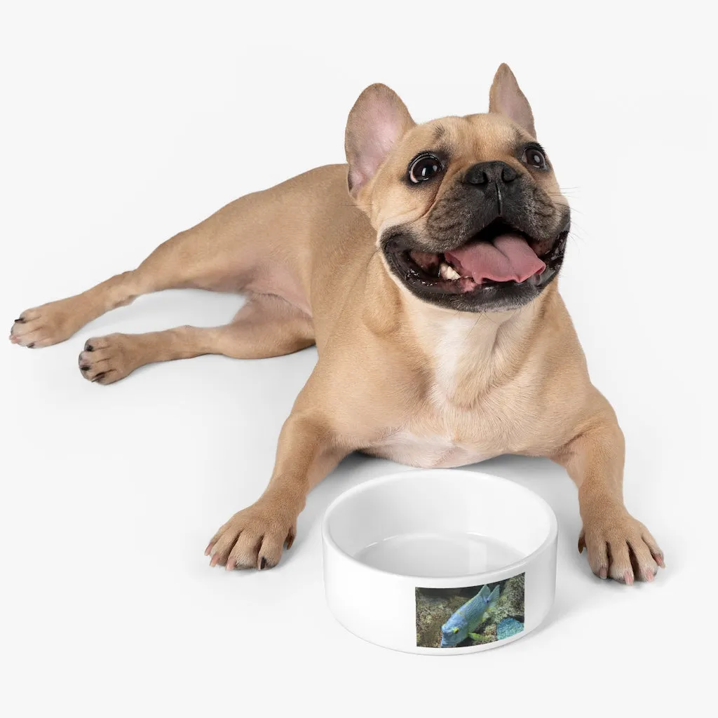 Light Blue Fish Pet Bowl