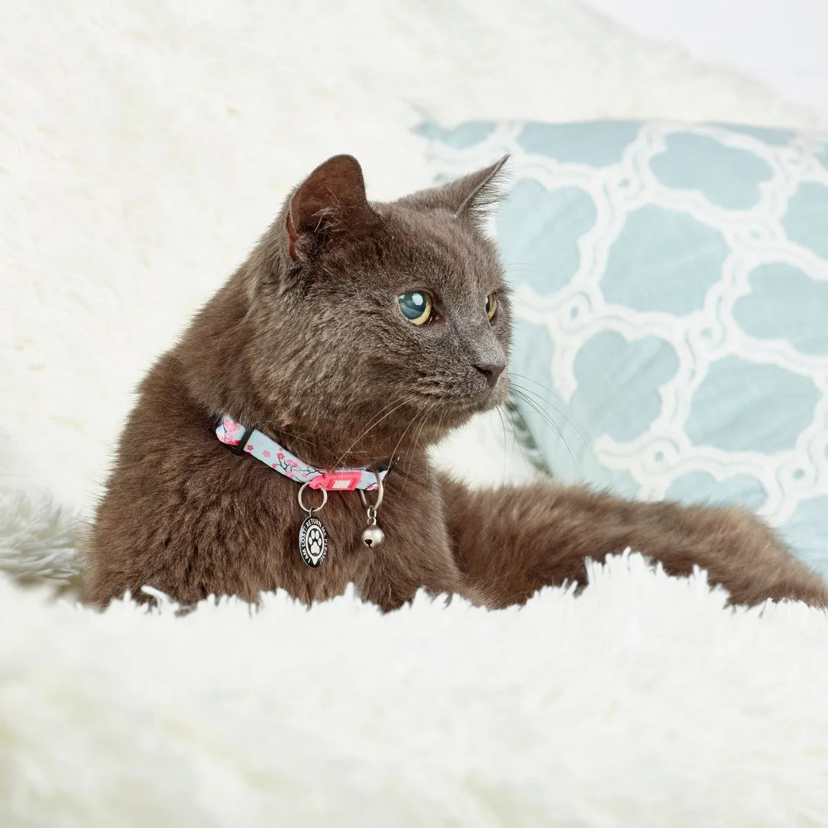 Max&Molly Smart ID Cat Collar Cherry Bloom