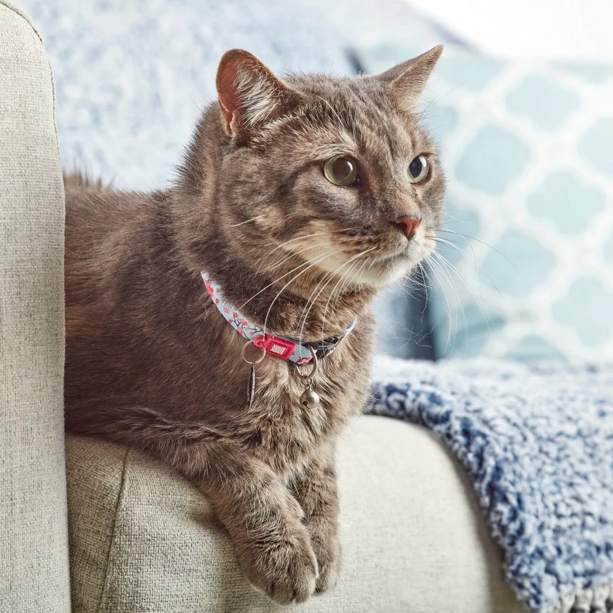 Max&Molly Smart ID Cat Collar Cherry Bloom