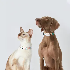 Pet Dog Activity Detection Wearable Equipment