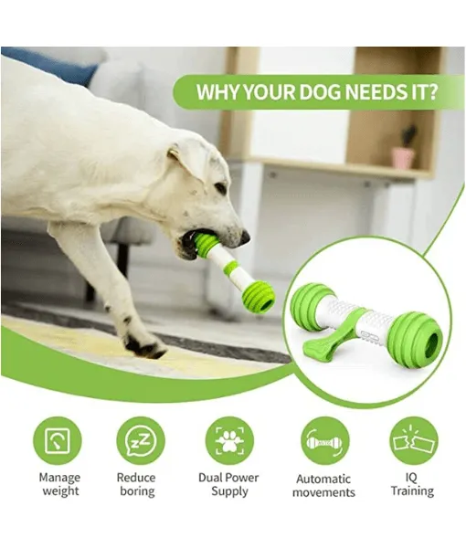 PetGeek Playbone