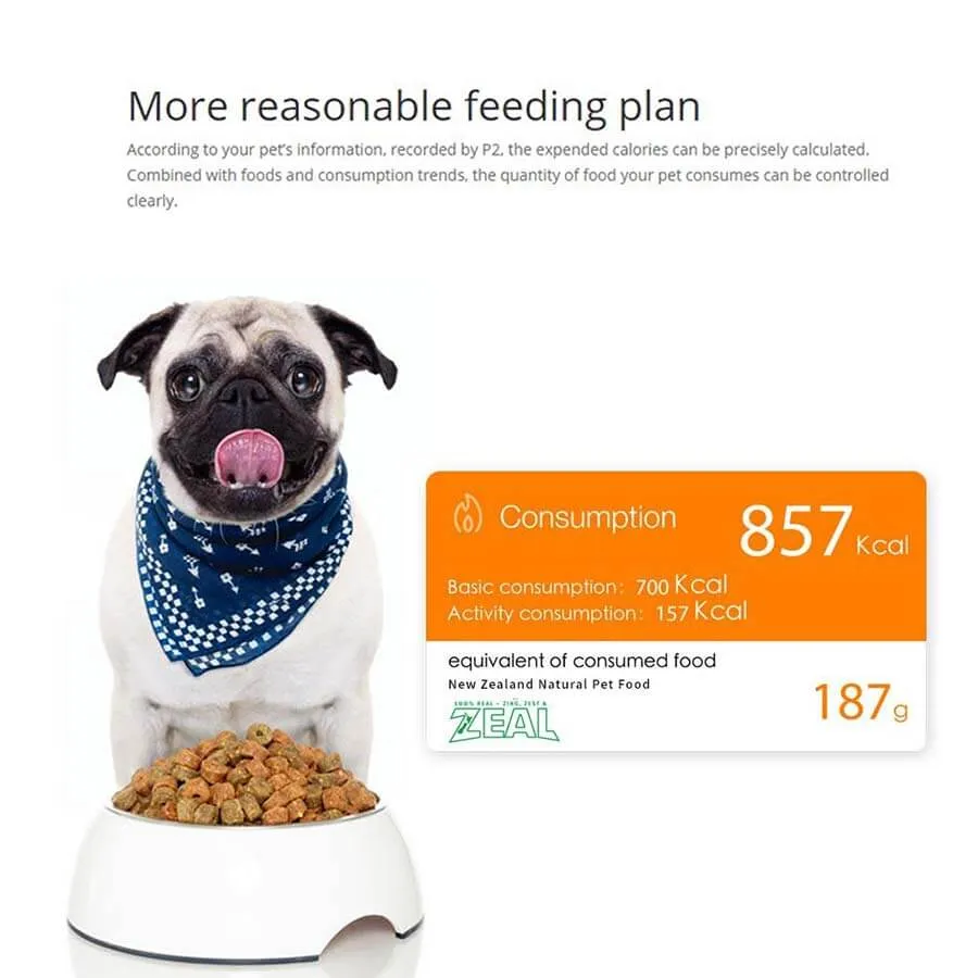 Petkit Fresh Smart Bowl Mondrian