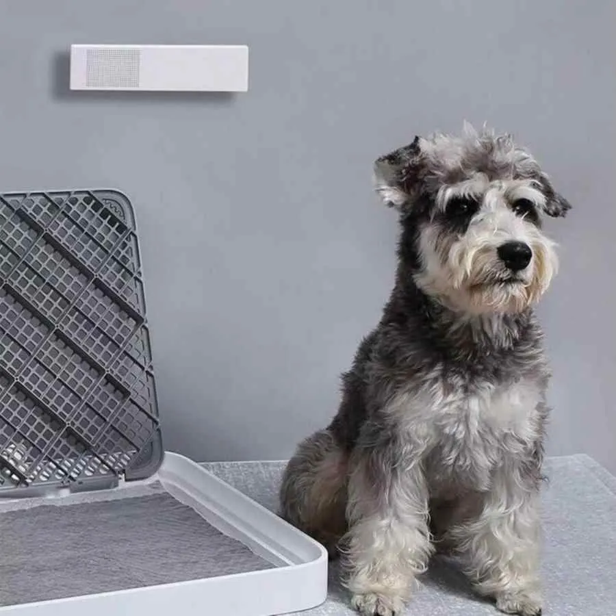 Petkit Pura Air Smart Odour Eliminator