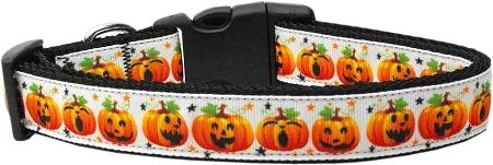 Pumpkin Parade Nylon Dog Collar Xl