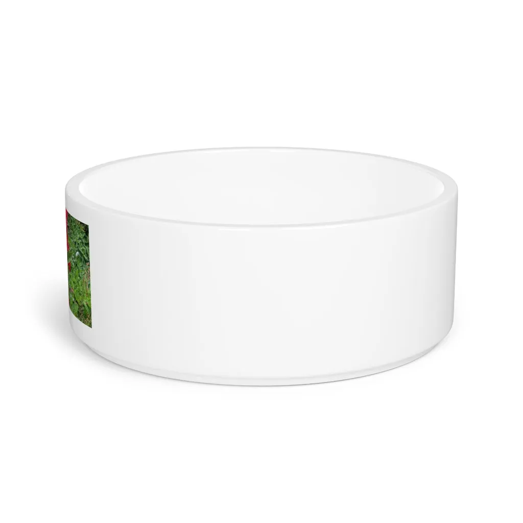 Red Flowers Pet Bowl