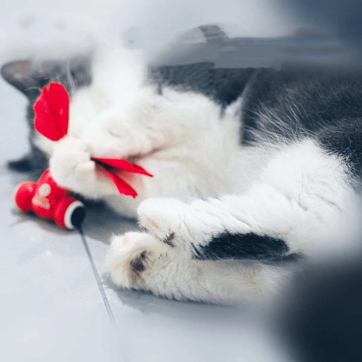 Smart Cat Playtime Set